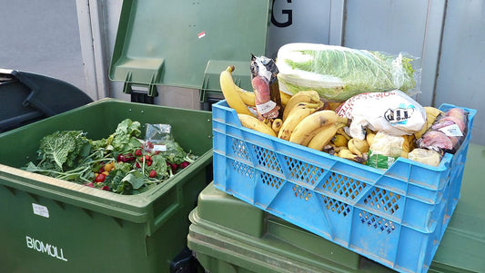 The True Cost of Food Waste